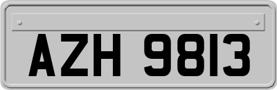 AZH9813
