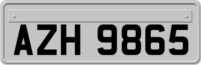 AZH9865