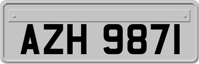 AZH9871