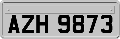 AZH9873
