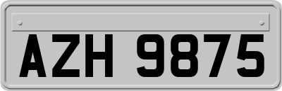 AZH9875