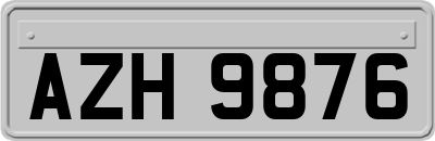AZH9876