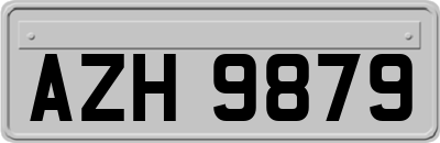 AZH9879