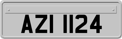 AZI1124