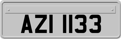 AZI1133