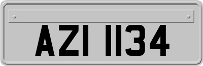 AZI1134