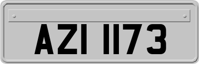 AZI1173