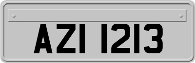AZI1213