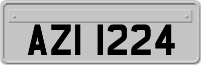 AZI1224