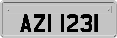 AZI1231