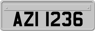 AZI1236