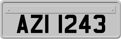 AZI1243