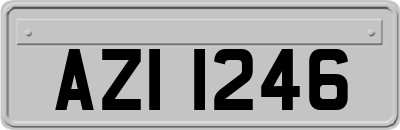 AZI1246
