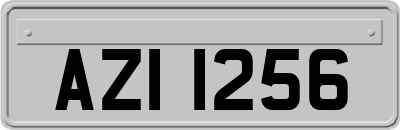 AZI1256