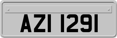 AZI1291