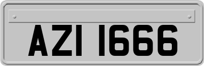 AZI1666