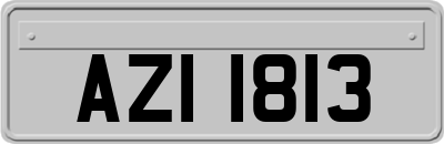 AZI1813