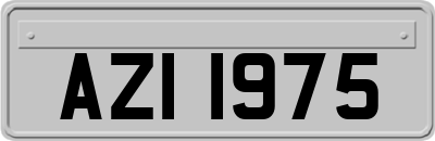 AZI1975