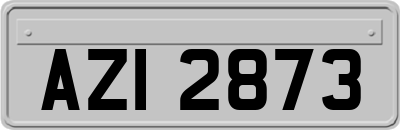 AZI2873