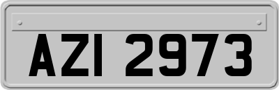 AZI2973