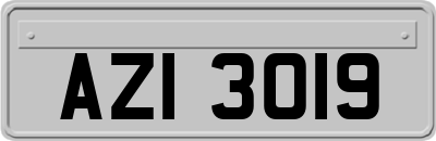 AZI3019