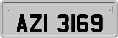 AZI3169