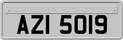 AZI5019