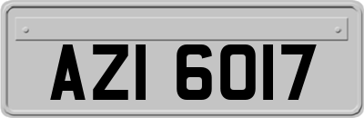 AZI6017