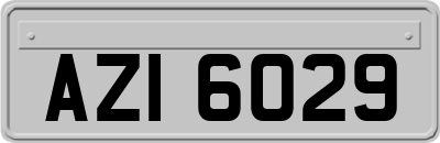 AZI6029