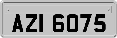 AZI6075