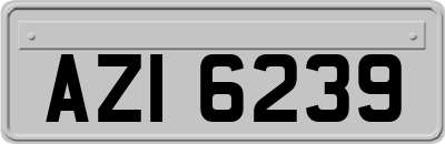 AZI6239