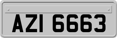 AZI6663