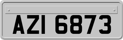 AZI6873