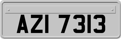 AZI7313