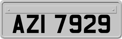 AZI7929