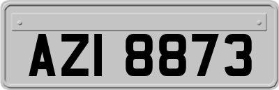 AZI8873