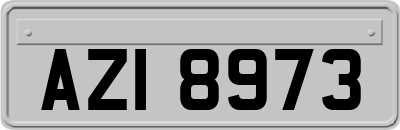AZI8973