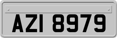 AZI8979