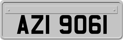 AZI9061