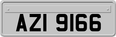 AZI9166