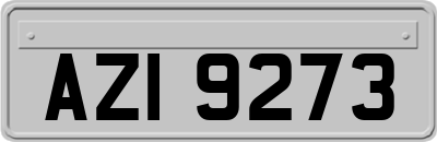 AZI9273