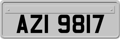 AZI9817
