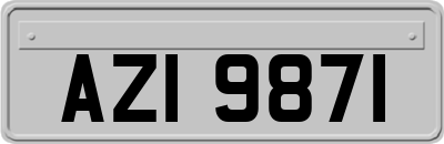 AZI9871