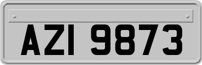 AZI9873