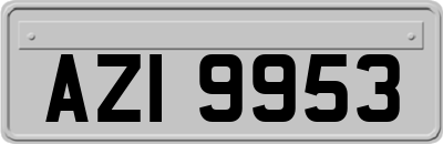 AZI9953