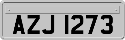 AZJ1273