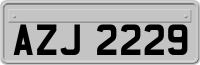 AZJ2229