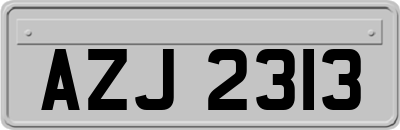 AZJ2313