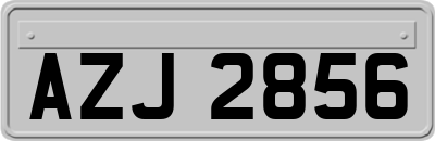 AZJ2856