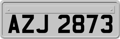 AZJ2873